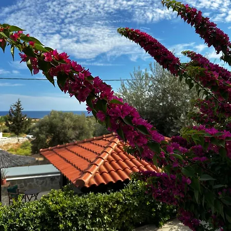 Hotel apartamentowy Southern Dreams Jenadi